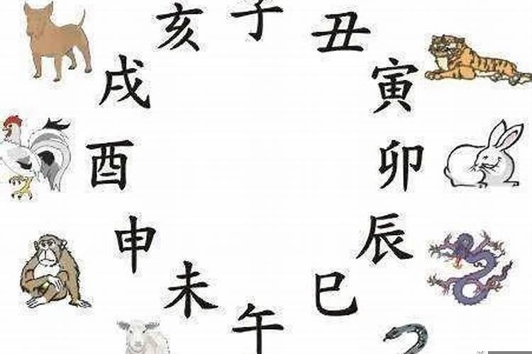 属龙的和属兔的八字合吗