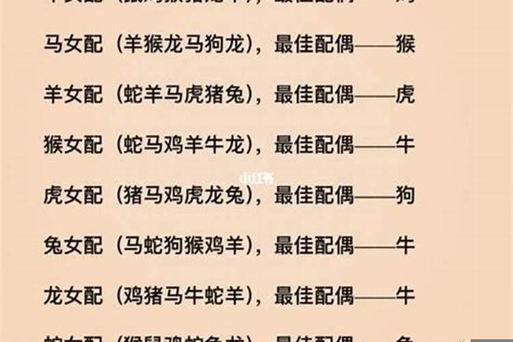 属马不宜和属什么婚配