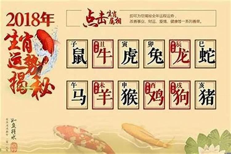 属虎女的最佳属相