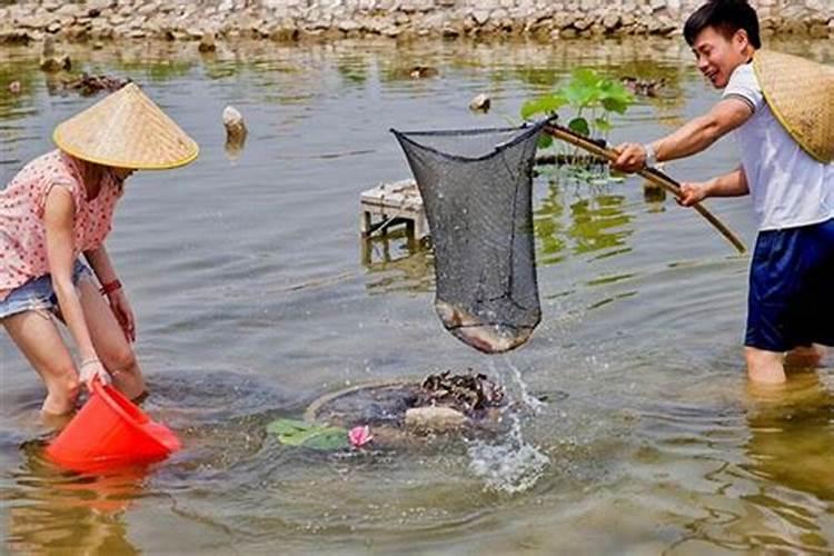 梦见鱼塘很多人在捉鱼水都不多了