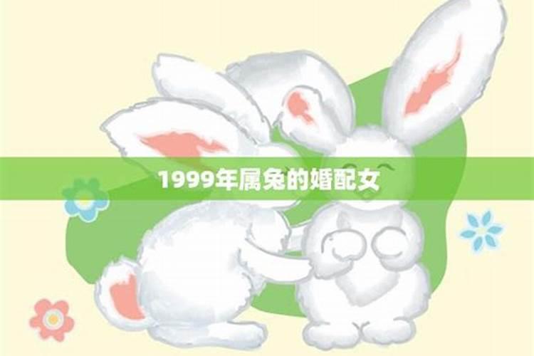 1999年属兔的婚配女生