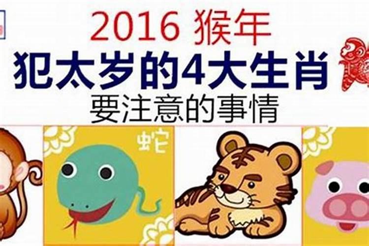 2017年犯太岁的5大生肖