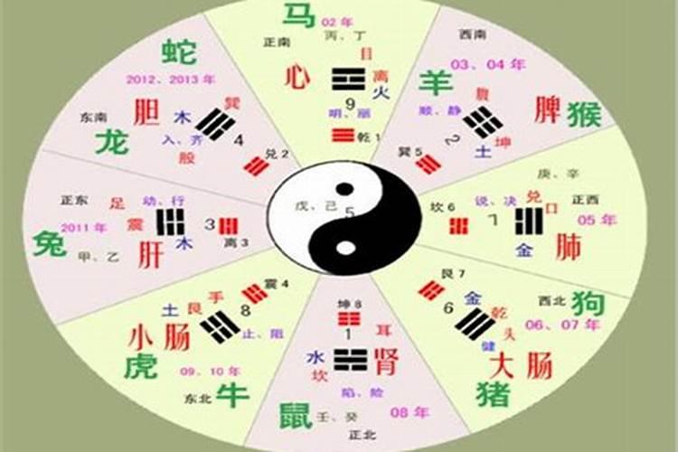 婚配看八字五行还是属相五行