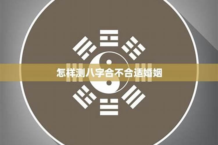 丙申日柱遇辛丑流年会怎样