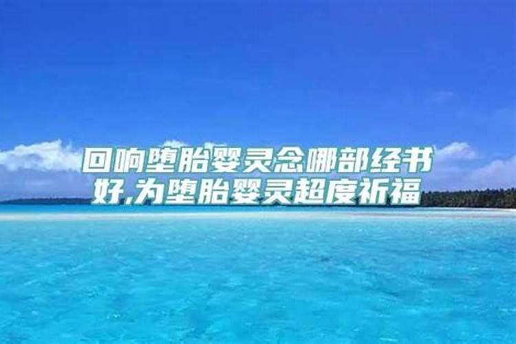 秀气命格指什么