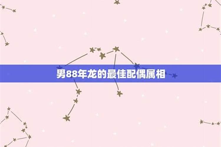 属龙男的婚配属什么最好