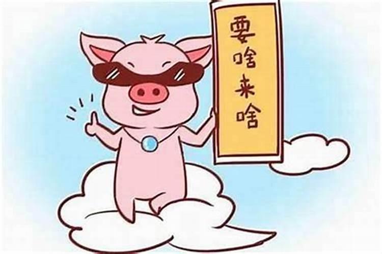 属猪的2021年结婚好不好