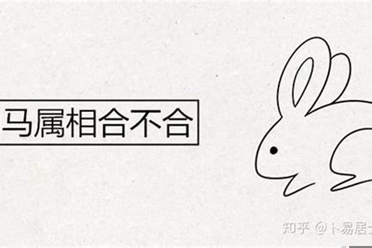 属兔子的和属马的八字合不合