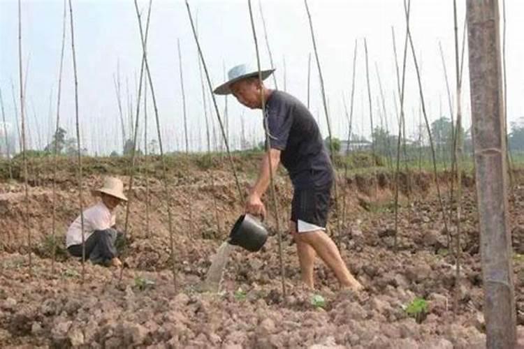 女孩子脚大手大命运好吗