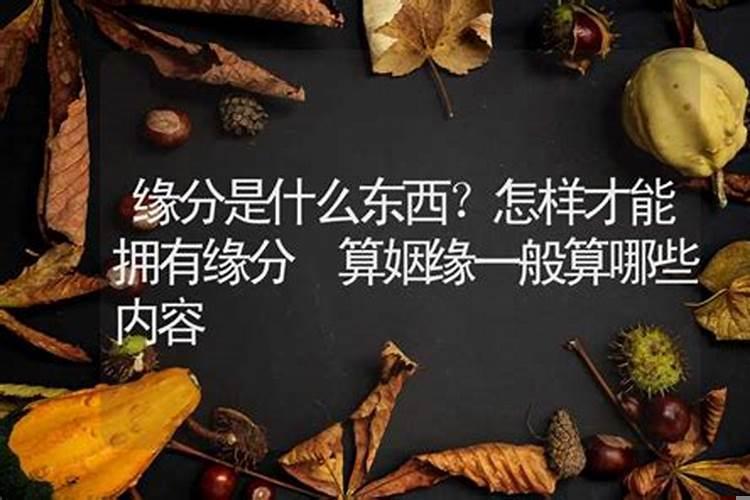 算姻缘要什么