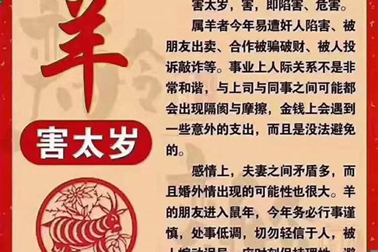 属相不合有破解方法吗