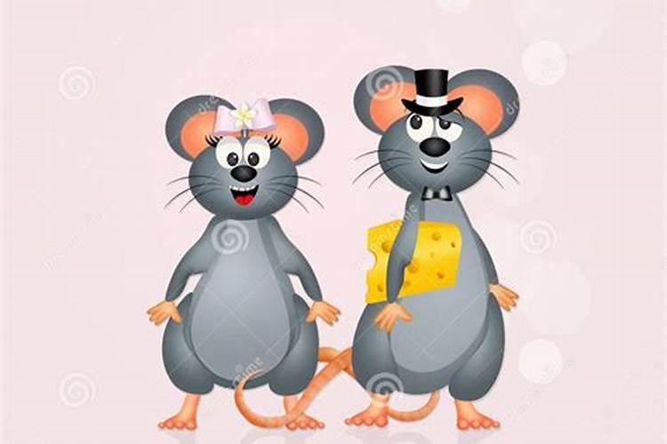 生肖老鼠和老鼠结婚会相克吗