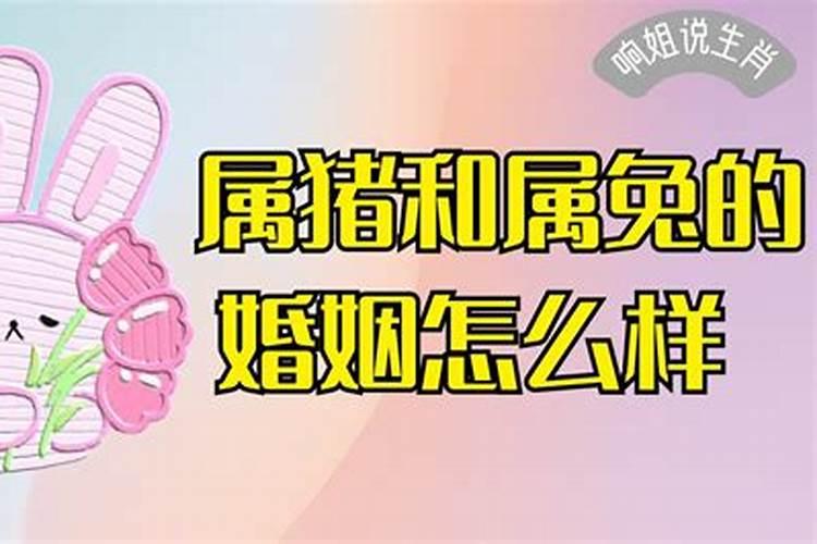 99年属兔男生婚姻跟什么属相最好