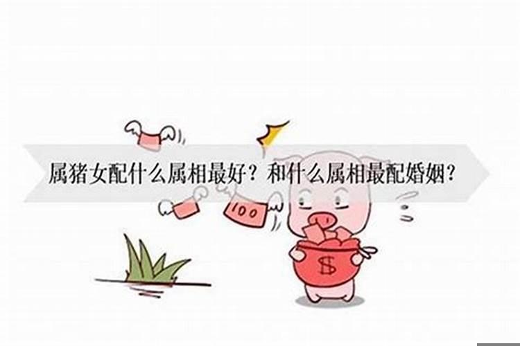 属猪不能婚配的属相