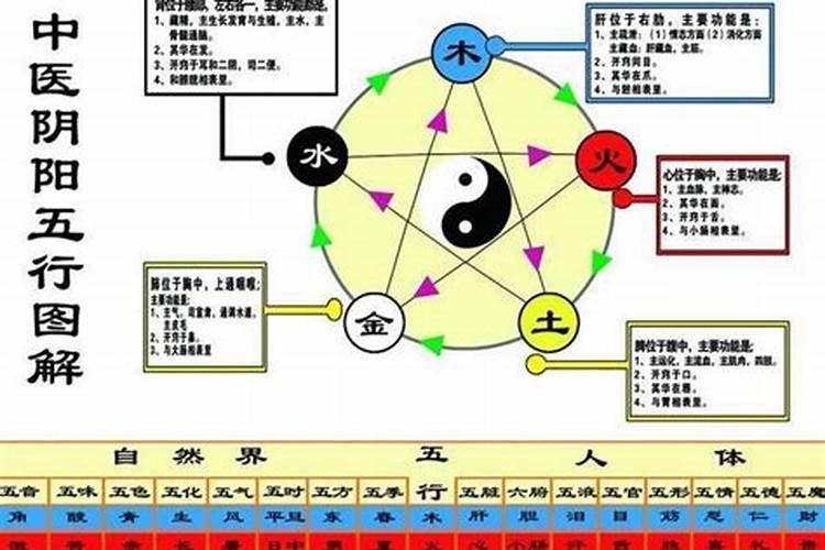 言五行属什么以及含义