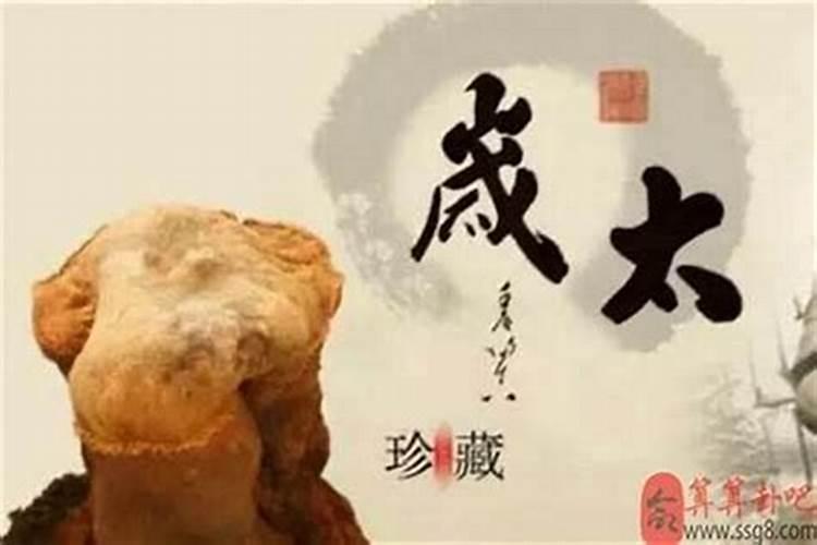 怎么知道今年犯不犯太岁