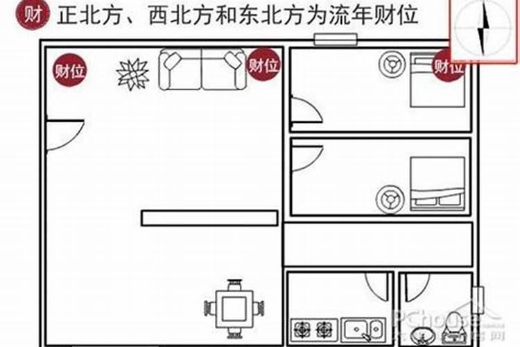 办公室的财位放什么比较好