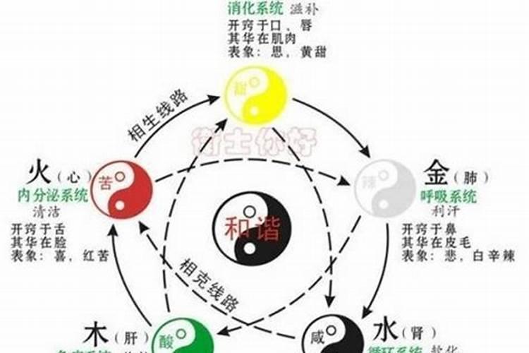 2024年龙年几月份生宝宝命运最好