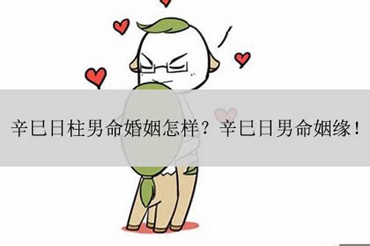 男辛巳女壬午出生合婚吗