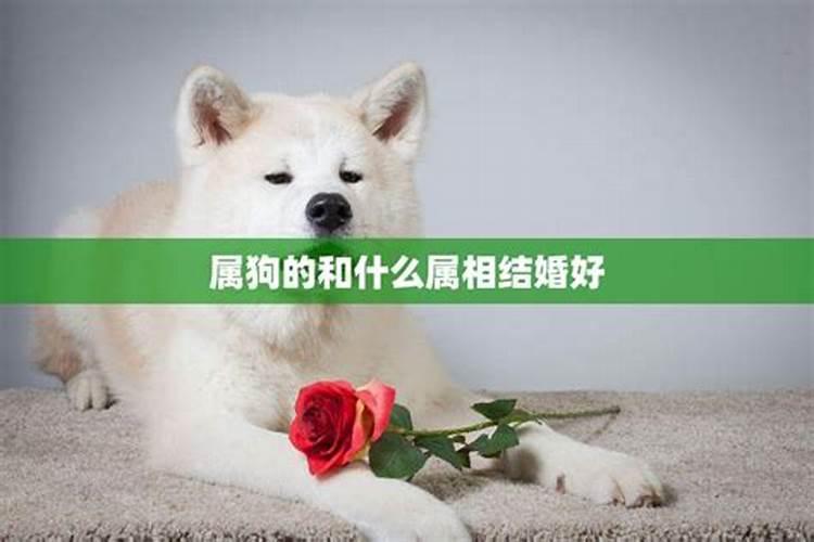 算命先生算婚姻真的准吗