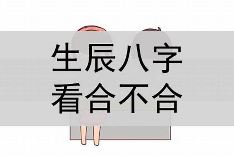 查生辰八字合不合