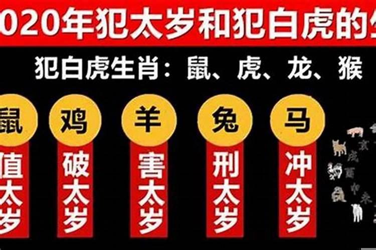 2019年哪个属相犯太岁