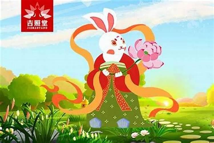 属兔女今年穿什么颜色好运