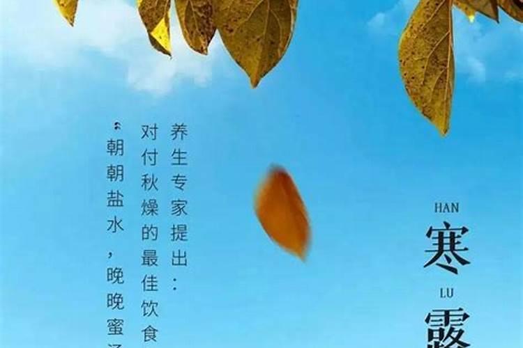 露水姻缘会有结果吗