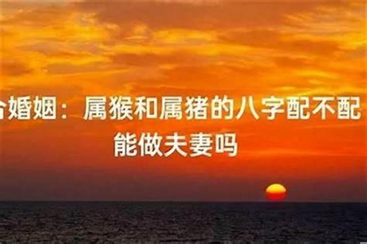 浙江和尚做法事