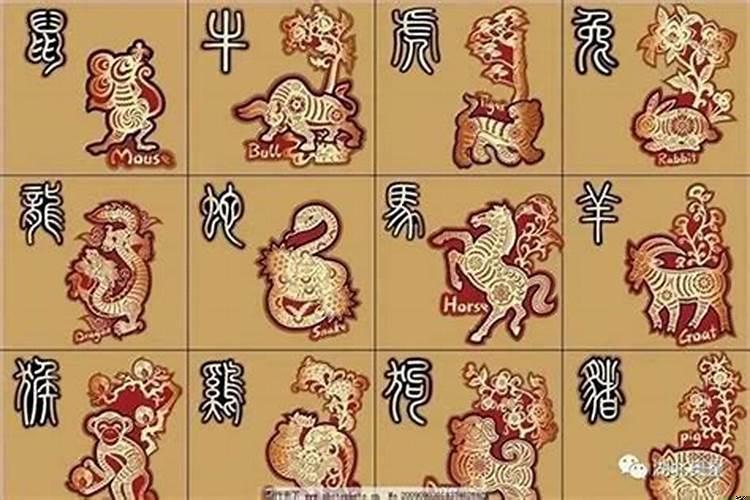 根据出生年月日看生辰八字