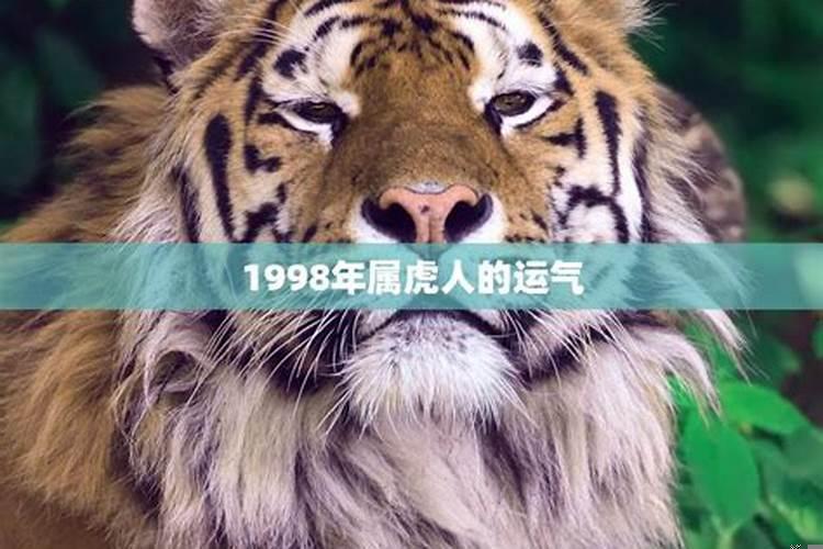 1998年的属虎今年运势怎么样