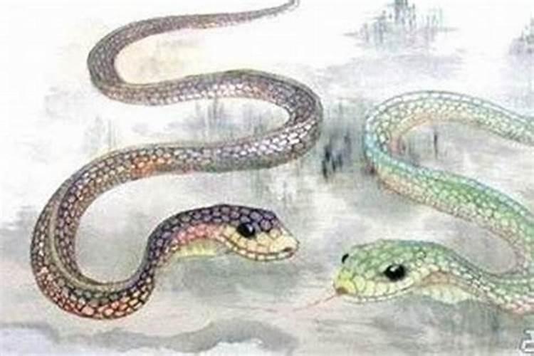 蛇之智慧：探索属蛇人的性格奥秘与生命力量