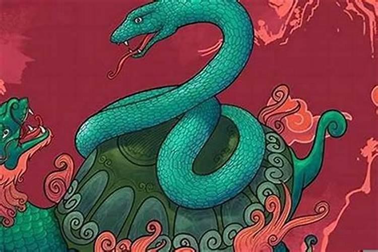探究传统：属蛇者的逝世与属相回避之谜