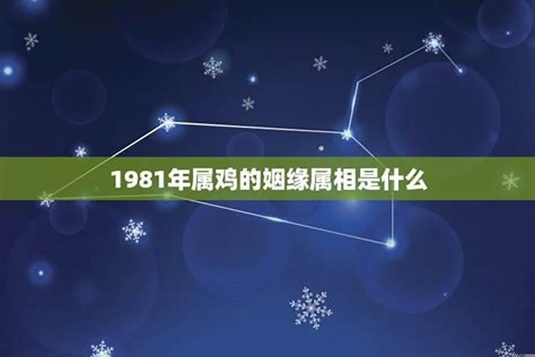 1981年属鸡2021年的婚姻