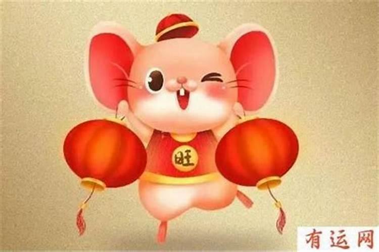 属鼠今年财运怎么样