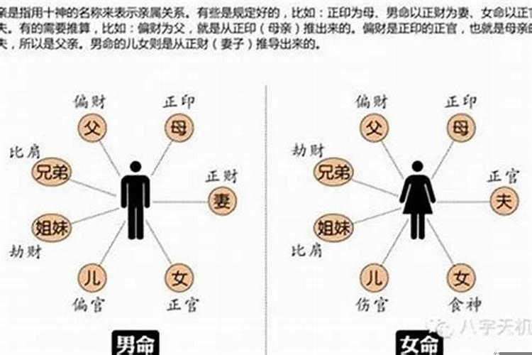 羊与猪：八字命理的婚姻适配度探讨