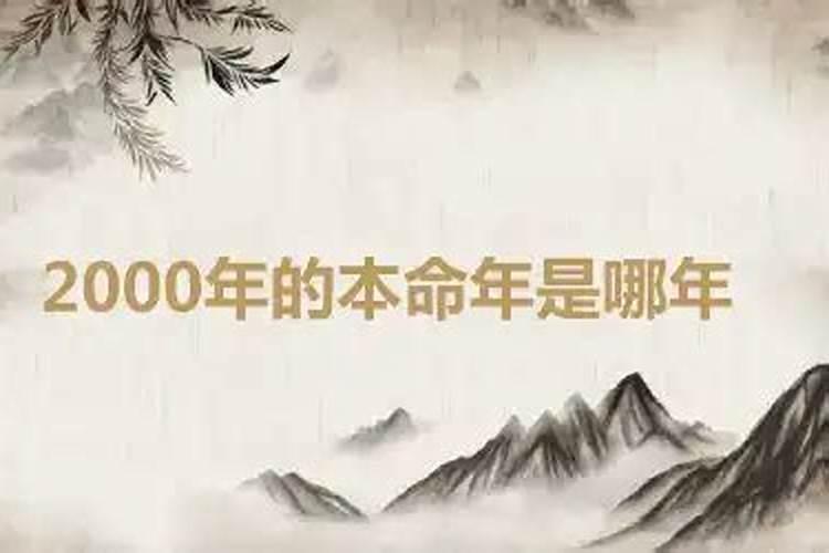 2000本命年是多少岁