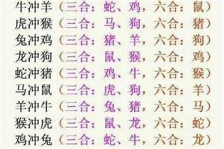 龙和马的八字合吗