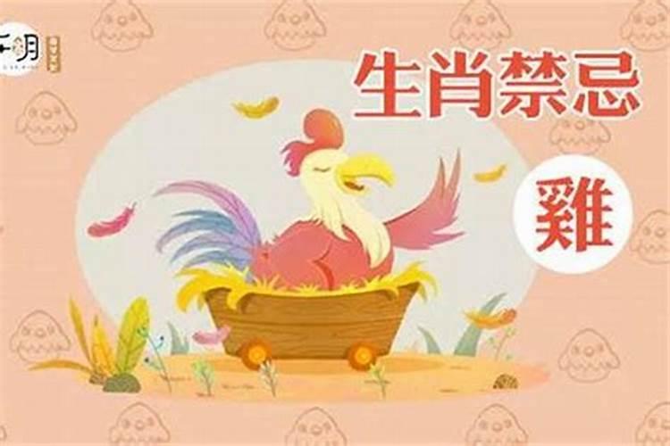 属鸡2021年婚姻最终归宿是什么