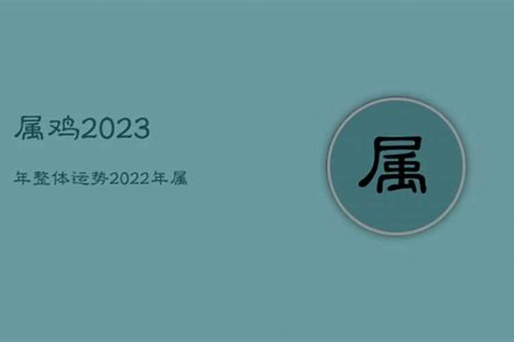 属鸡人在兔年的运势2023年