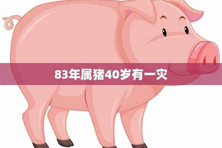 83年属猪人40岁后命运