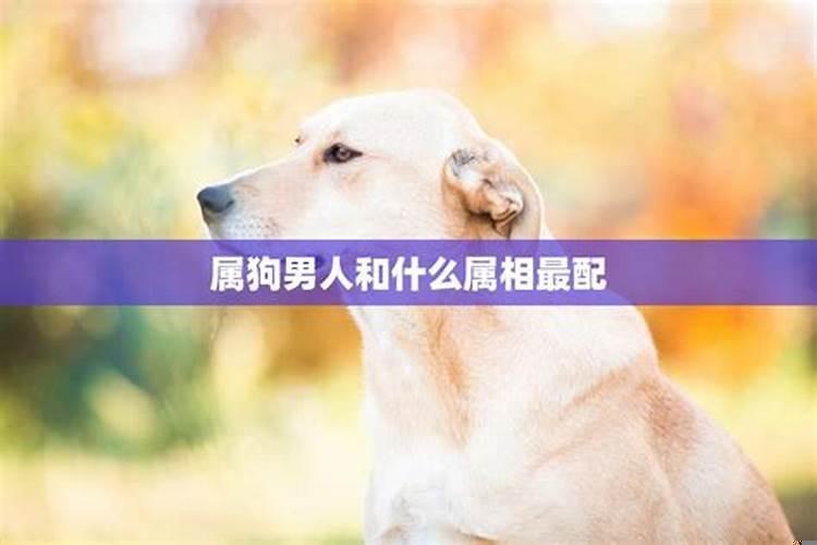 属狗男婚配禁忌属相是什么