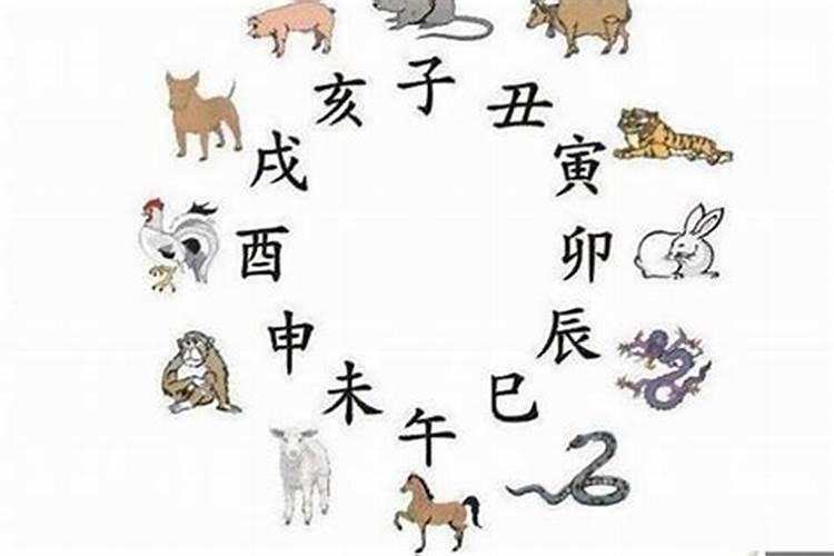 属虎和属羊的八字合吗