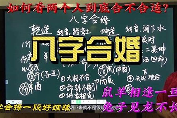 八字地支隔位相合吗