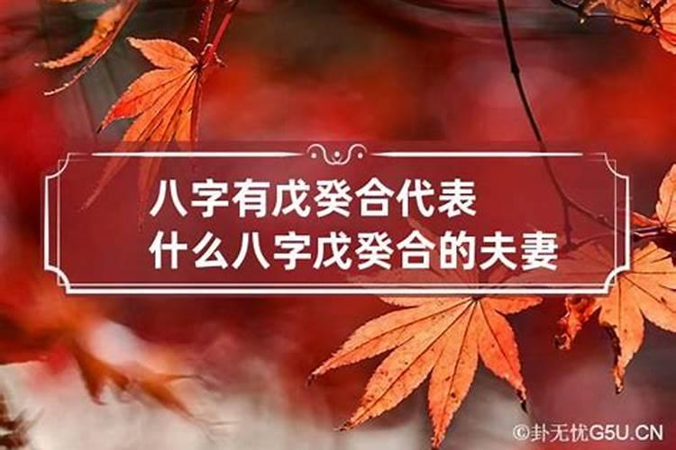 八字戊和葵亥合化吗