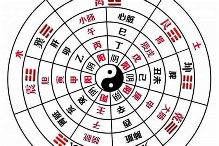 八字土旺适合做什么职业