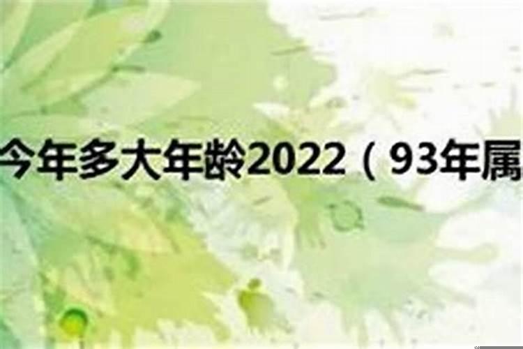 1993属鸡2023年佩戴什么好