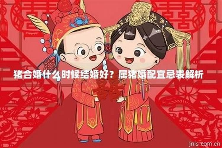 属猪结婚的日子是什么时候开始的