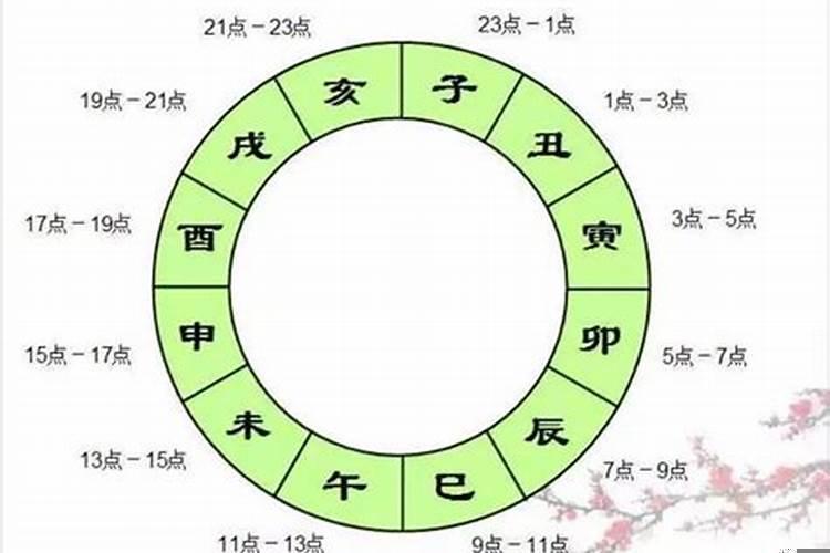 亥时与子时的婚配关系