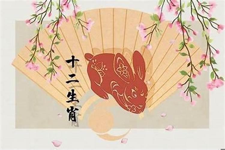 属兔女今年适合结婚吗